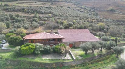 Quinta T7 em Ervedosa do Douro de 2 354 m²