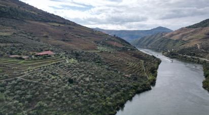 Quinta T7 em Ervedosa do Douro de 2 354 m²