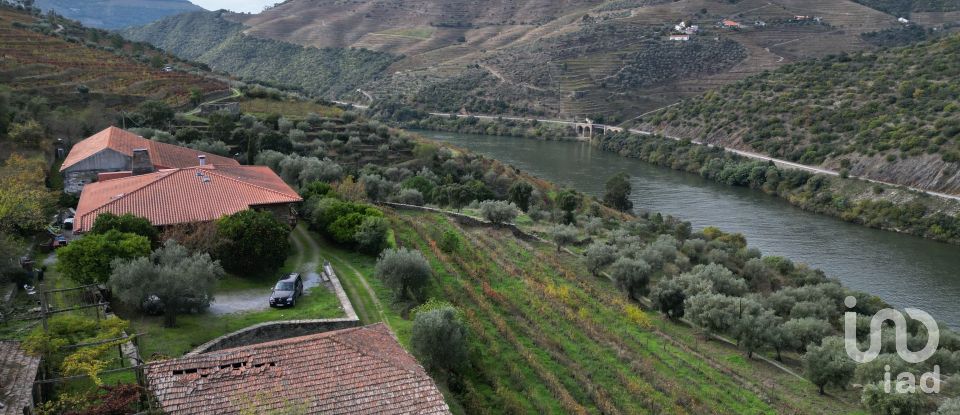 Quinta T7 em Ervedosa do Douro de 2 354 m²