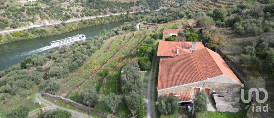 Quinta T7 em Ervedosa do Douro de 2 354 m²