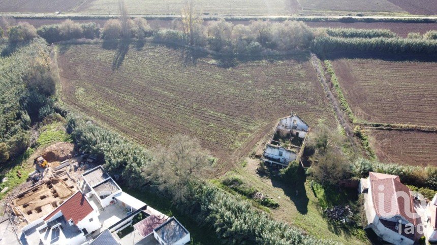 Terreno em São João da Ribeira e Ribeira de São João de 16 160 m²