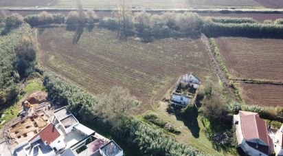 Terreno em São João da Ribeira e Ribeira de São João de 16 160 m²