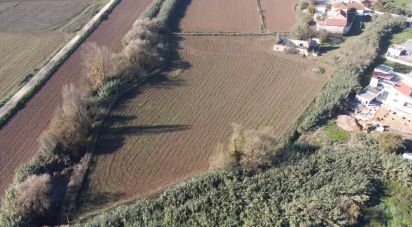 Terreno em São João da Ribeira e Ribeira de São João de 16 160 m²