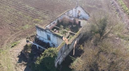 Terreno em São João da Ribeira e Ribeira de São João de 16 160 m²