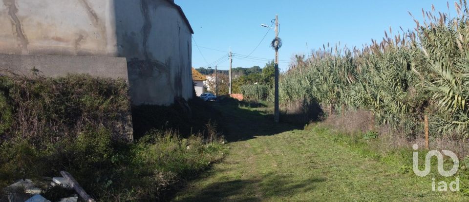 Terreno em São João da Ribeira e Ribeira de São João de 16 160 m²