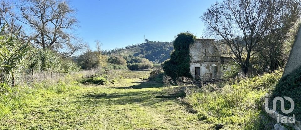 Terreno em São João da Ribeira e Ribeira de São João de 16 160 m²