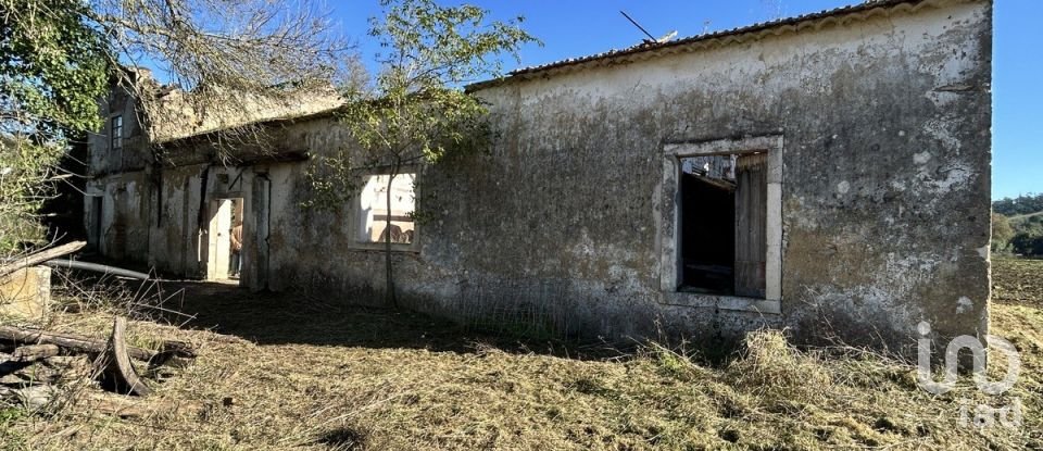 Terreno em São João da Ribeira e Ribeira de São João de 16 160 m²