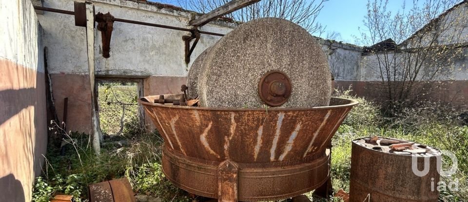 Terreno em São João da Ribeira e Ribeira de São João de 16 160 m²