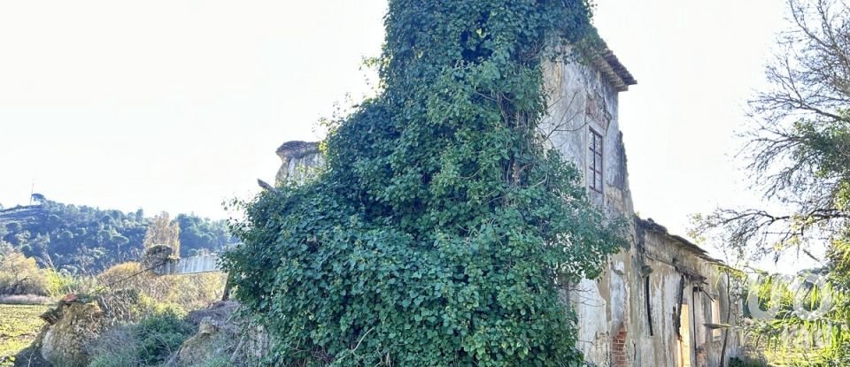 Terreno em São João da Ribeira e Ribeira de São João de 16 160 m²