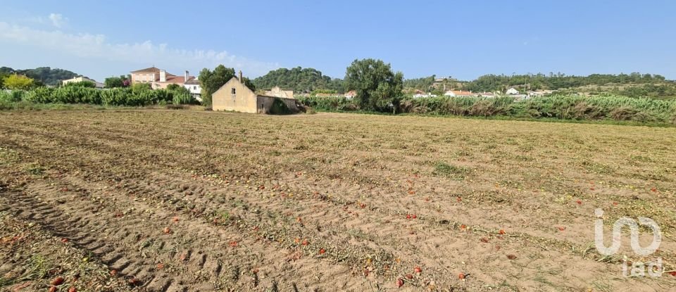 Terreno em São João da Ribeira e Ribeira de São João de 16 160 m²