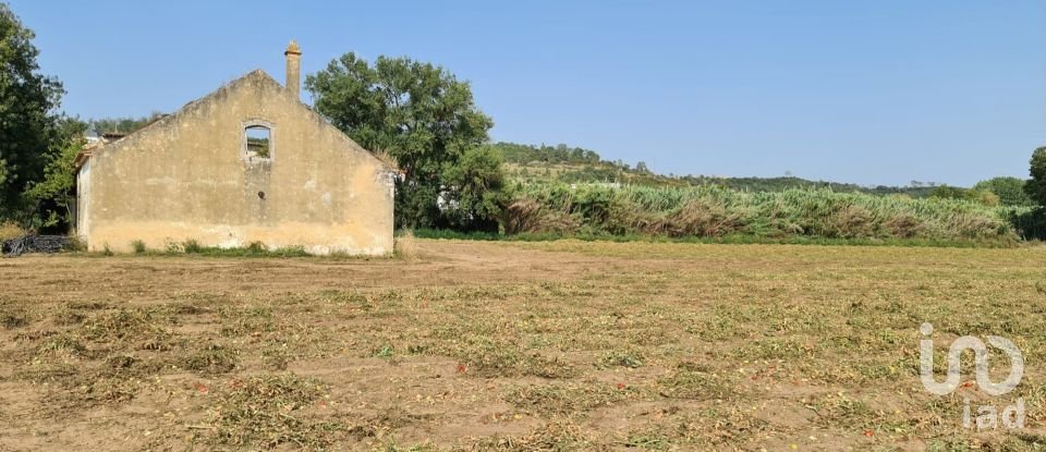 Terreno em São João da Ribeira e Ribeira de São João de 16 160 m²