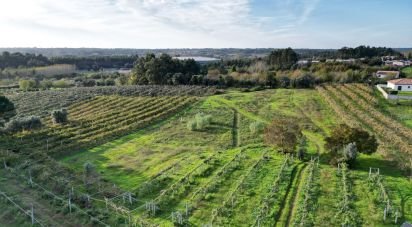 Terreno para construção em Sangalhos de 6 072 m²