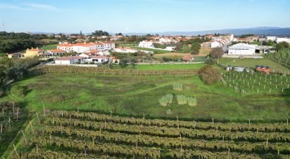 Terreno para construção em Sangalhos de 6 072 m²