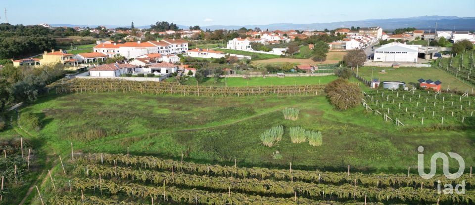 Terreno para construção em Sangalhos de 6 072 m²