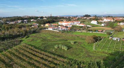 Terreno para construção em Sangalhos de 6 072 m²