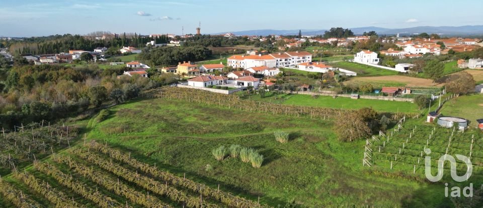 Terreno para construção em Sangalhos de 6 072 m²