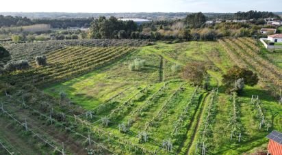 Terreno para construção em Sangalhos de 6 072 m²