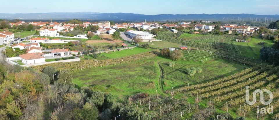 Terreno para construção em Sangalhos de 6 072 m²