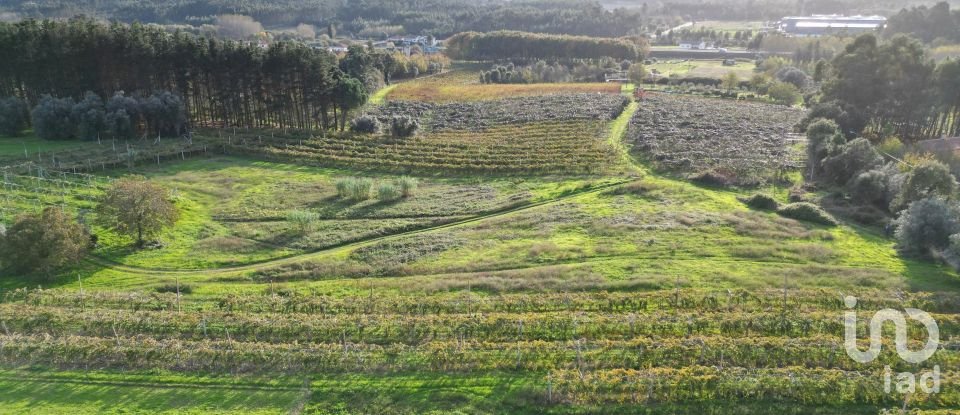 Terreno para construção em Sangalhos de 6 072 m²