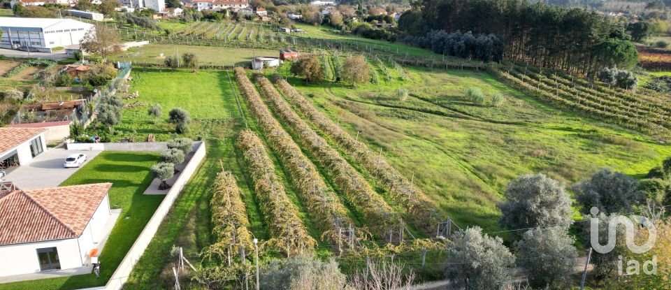 Terreno para construção em Sangalhos de 6 072 m²