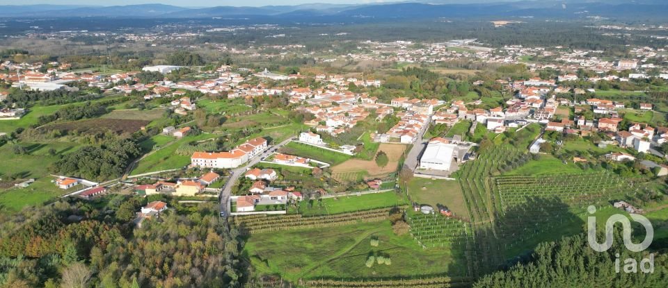 Terreno para construção em Sangalhos de 6 072 m²