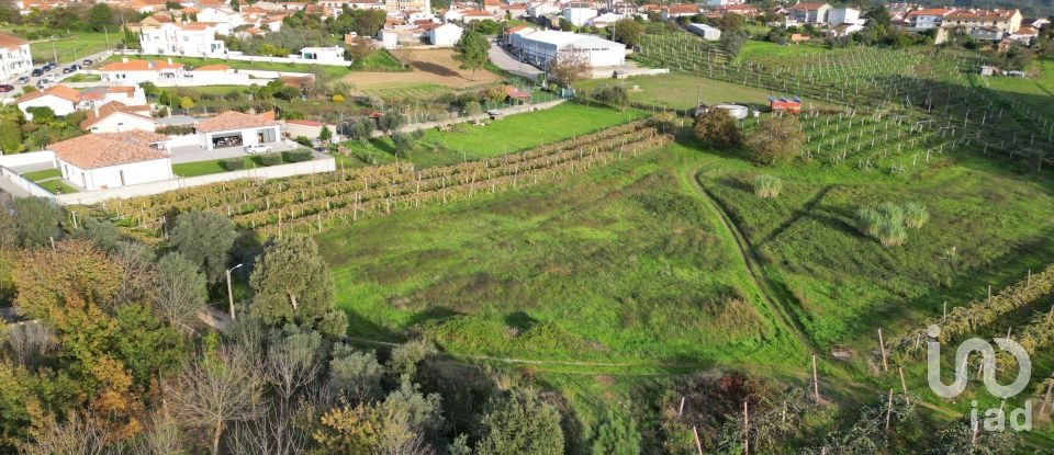 Terreno para construção em Sangalhos de 6 072 m²