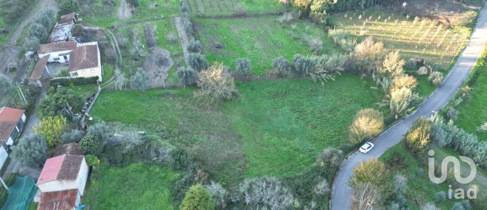 Terreno para construção em Semide e Rio Vide de 4 400 m²