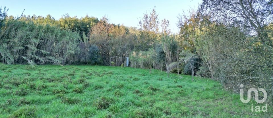 Terreno para construção em Semide e Rio Vide de 4 400 m²