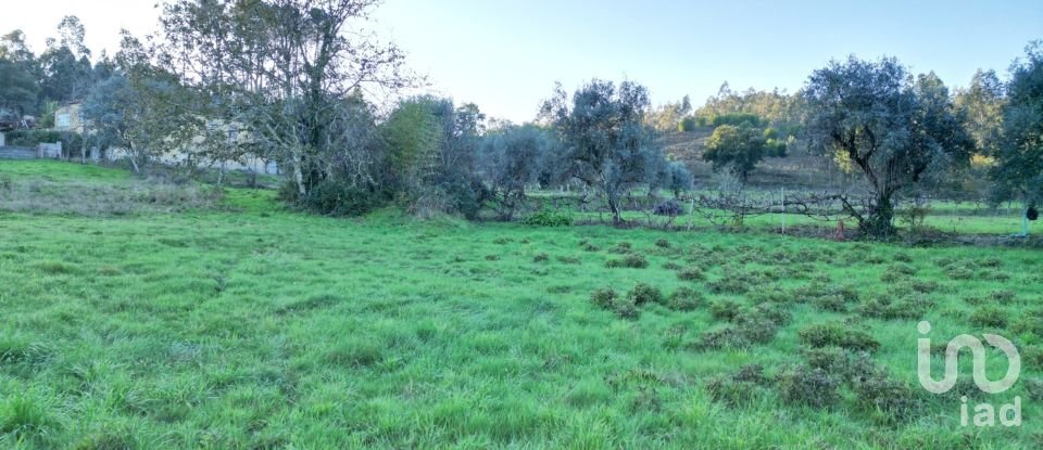 Terreno para construção em Semide e Rio Vide de 4 400 m²