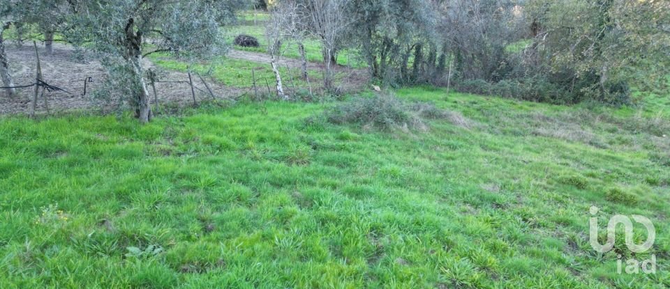 Terreno para construção em Semide e Rio Vide de 4 400 m²