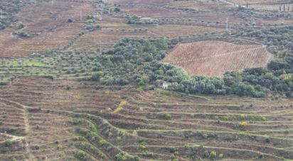 Ferme T3 à Ervedosa do Douro de 634 m²