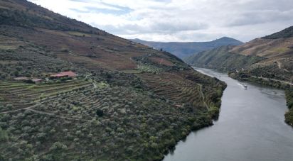 Quinta T3 em Ervedosa do Douro de 634 m²