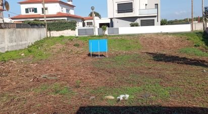 Terreno em Esmoriz de 560 m²