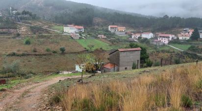 Terreno em Janeiro de Baixo de 6 992 m²