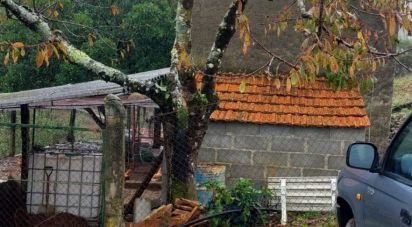 Terreno em Janeiro de Baixo de 6 992 m²