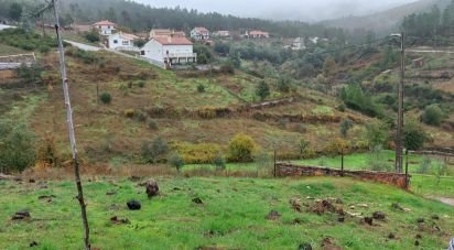 Terreno em Janeiro de Baixo de 6 992 m²