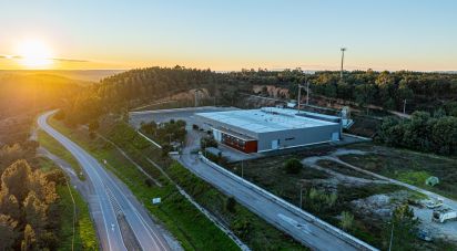 Murs commerciaux à Gavião e Atalaia de 6 430 m²