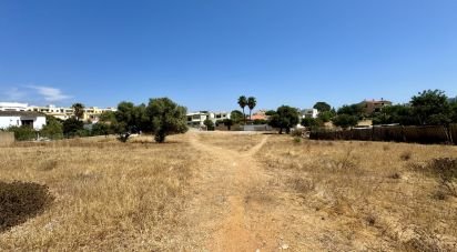 Terreno para construção em Quelfes de 2 760 m²