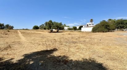 Terreno para construção em Quelfes de 2 760 m²