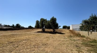 Terreno para construção em Quelfes de 2 760 m²