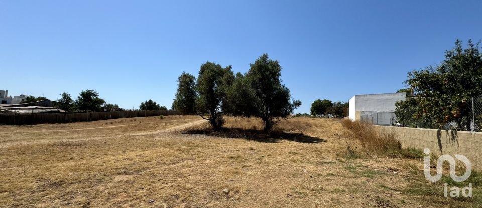 Terreno para construção em Quelfes de 2 760 m²