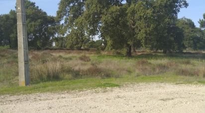 Terreno em Alhos Vedros de 5 000 m²