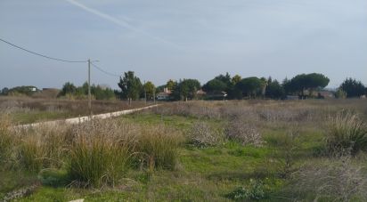 Terreno em Alhos Vedros de 5 000 m²