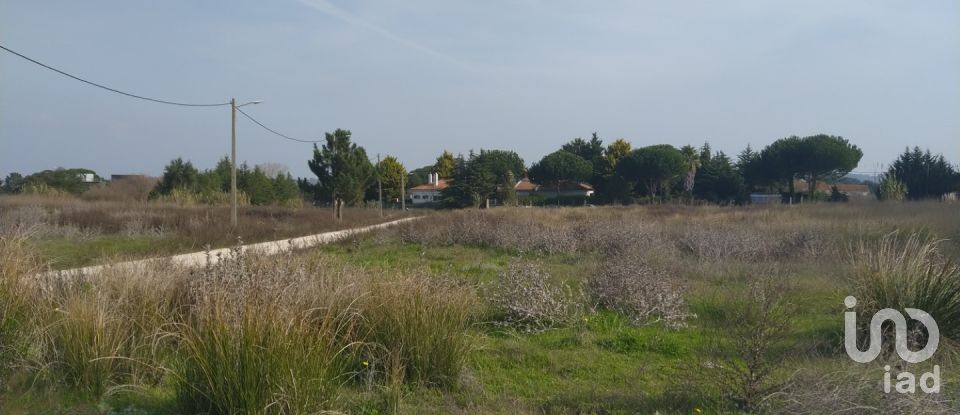 Terreno em Alhos Vedros de 5 000 m²