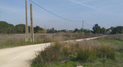 Terreno em Alhos Vedros de 5 000 m²