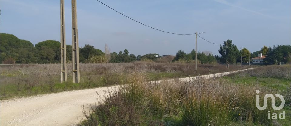 Terreno em Alhos Vedros de 5 000 m²