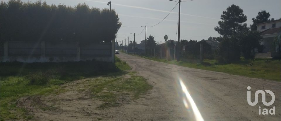 Terreno em Alhos Vedros de 5 000 m²