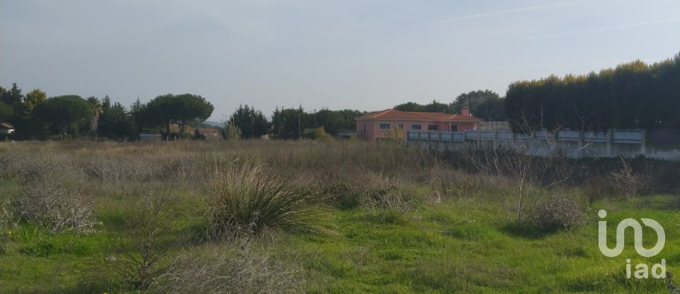 Terreno em Alhos Vedros de 5 000 m²