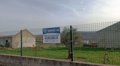 Terreno para construção em Mogadouro, Valverde, Vale de Porco e Vilar de Rei de 750 m²