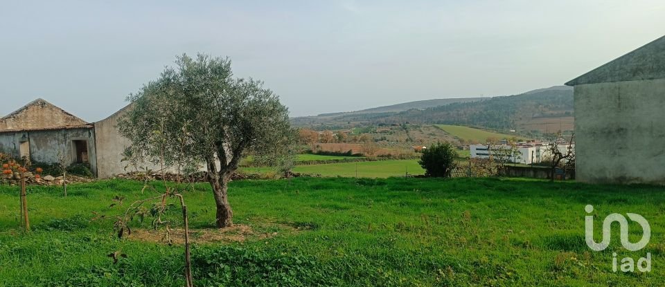 Terreno para construção em Mogadouro, Valverde, Vale de Porco e Vilar de Rei de 750 m²